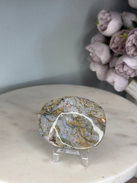 Water Agate Palm Stone