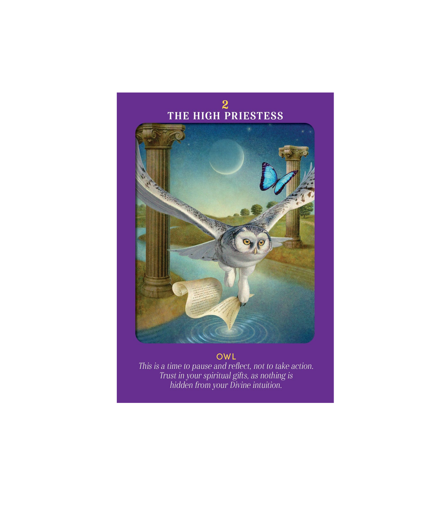 Animal Guides Tarot