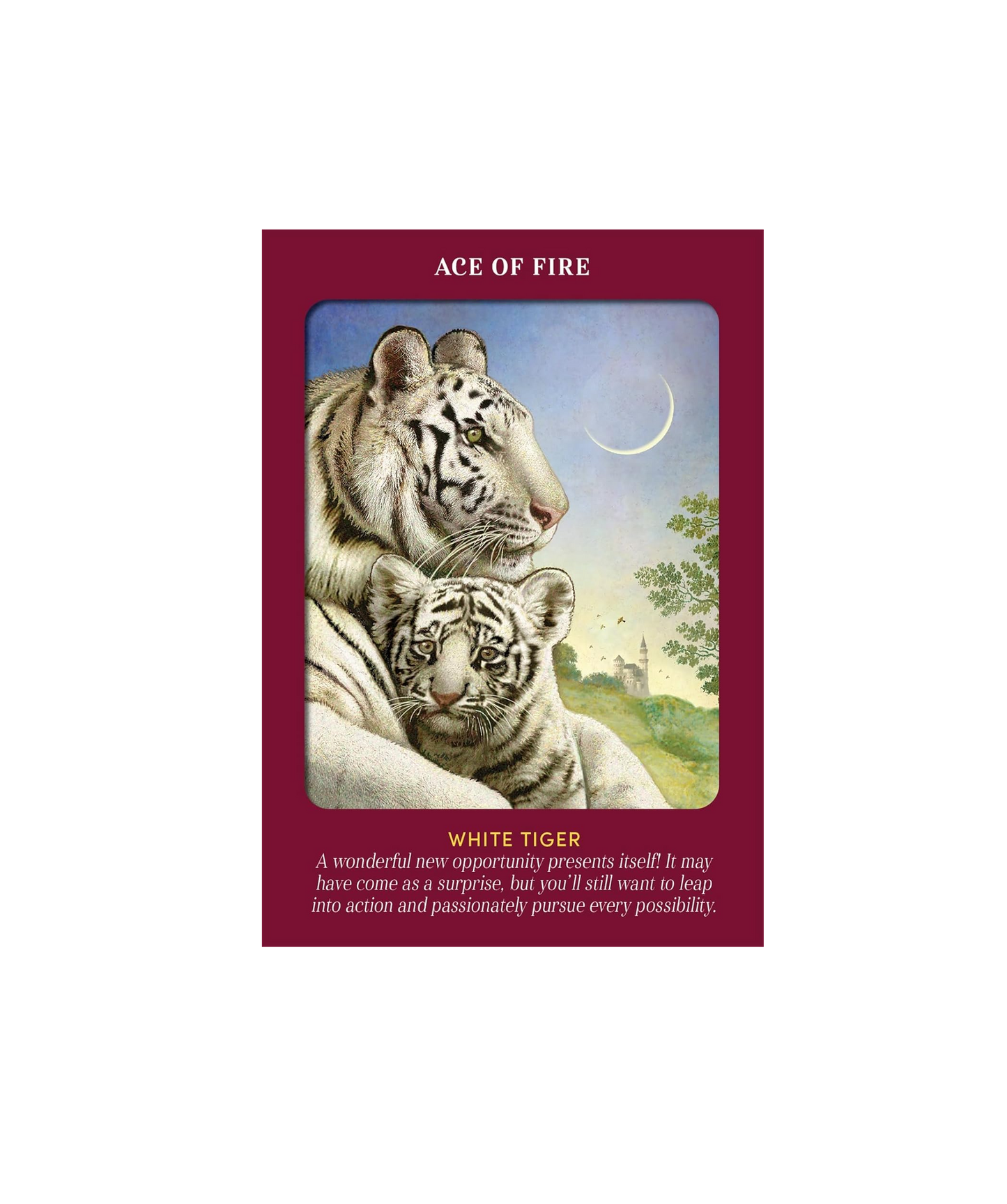 Animal Guides Tarot