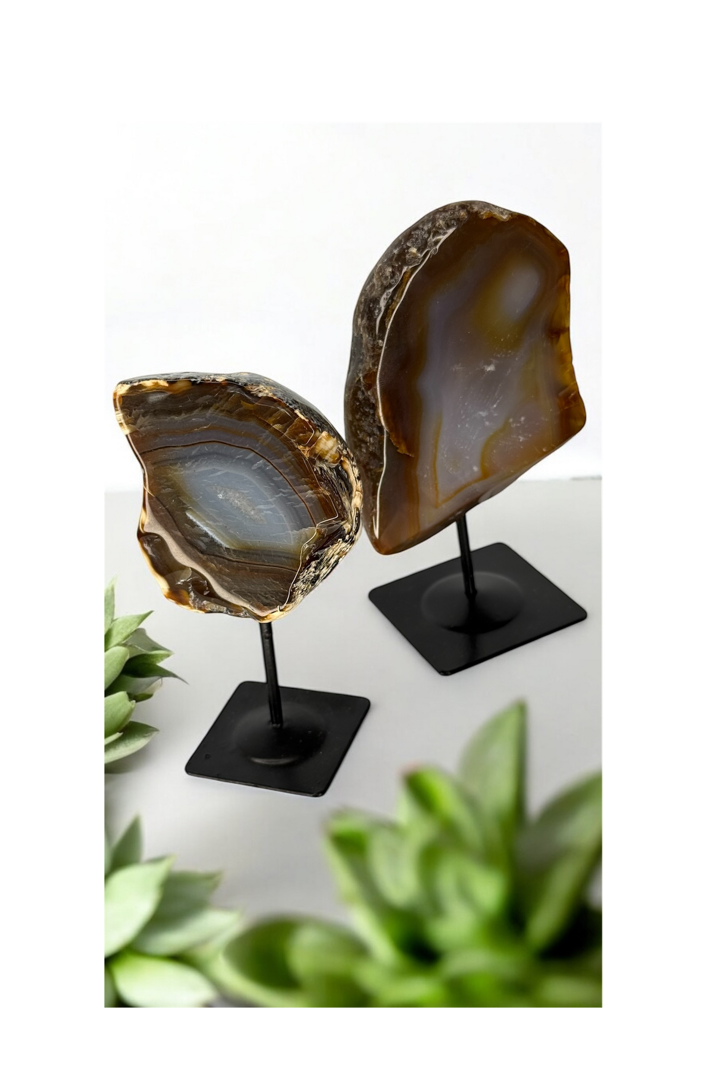 Natural Agate Slice on Stand