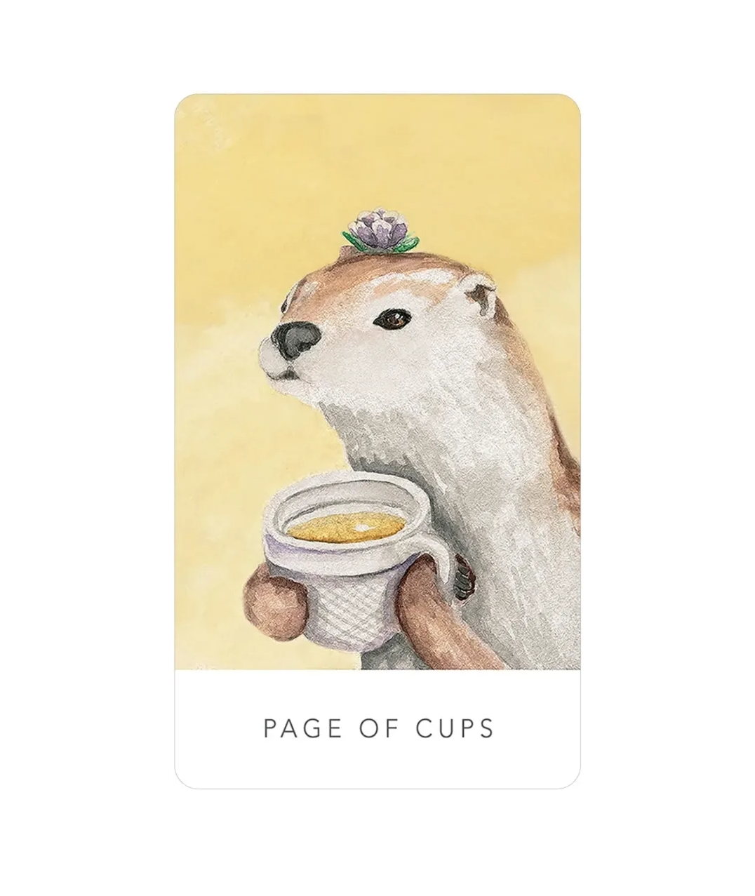 White Sage Tarot in a Tin